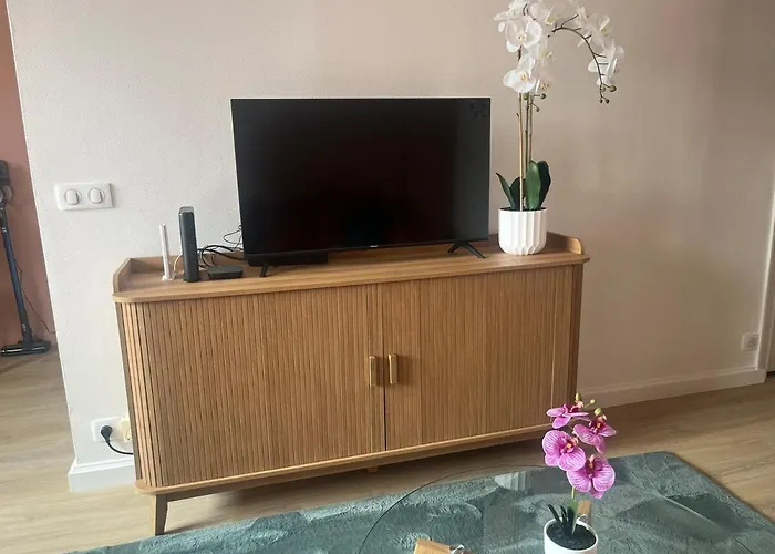 Boulevard Du Roi Rene 公寓 昂热