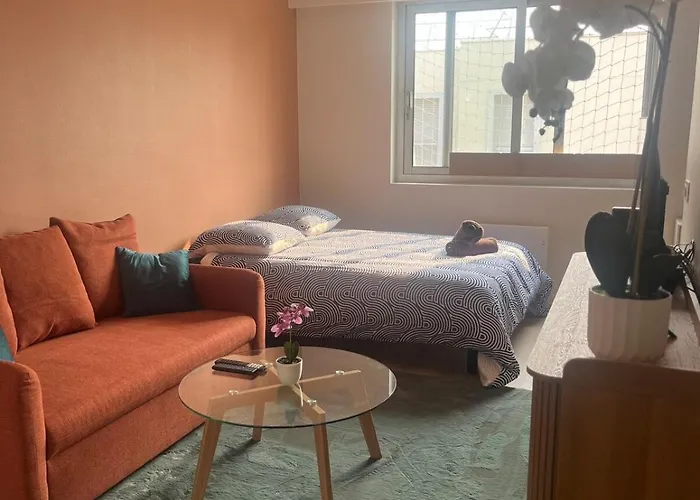 Boulevard Du Roi Rene 公寓 昂热